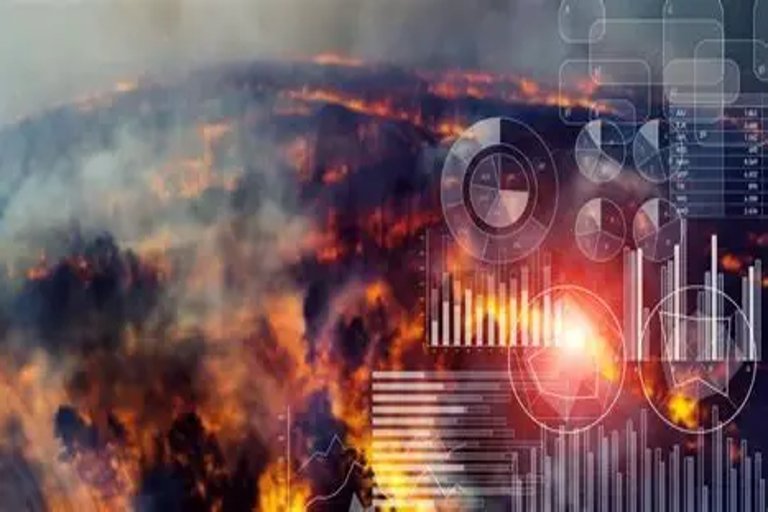 Toronto startup develops AI tool to detect wildfire risks